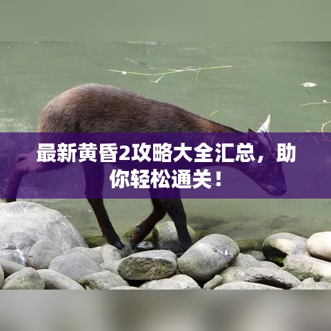 最新黄昏2攻略大全汇总,助你轻松通关!