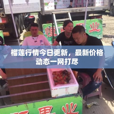 榴莲行情今日更新,最新价格动态一网打尽