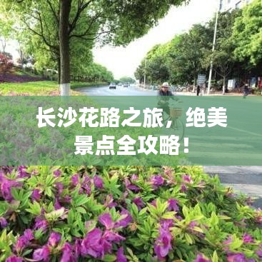 长沙花路之旅,绝美景点全攻略!