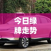 今日绿牌走势深度解析