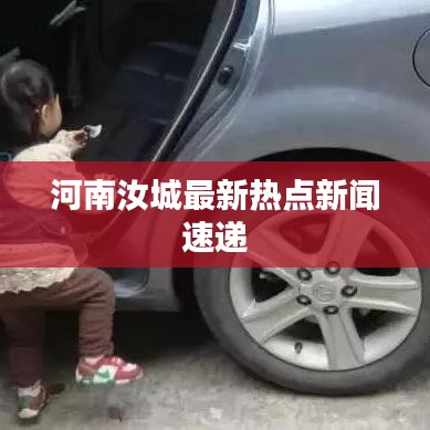 河南汝城最新热点新闻速递