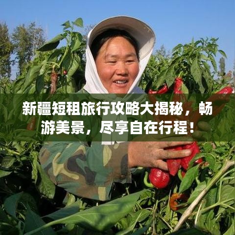 新疆短租旅行攻略大揭秘，畅游美景，尽享自在行程！