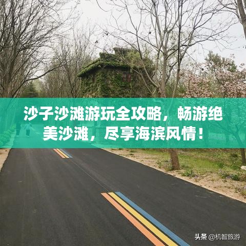 沙子沙滩游玩全攻略，畅游绝美沙滩，尽享海滨风情！