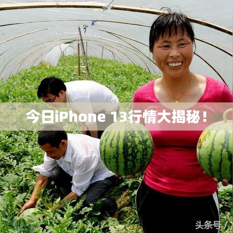 今日iPhone 13行情大揭秘！