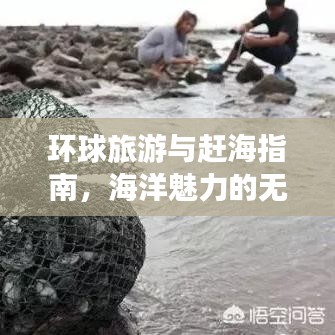 环球旅游与赶海指南，海洋魅力的无限探索