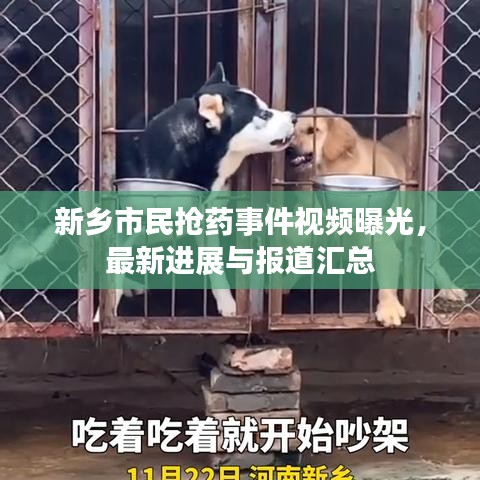 新乡市民抢药事件视频曝光,最新进展与报道汇总