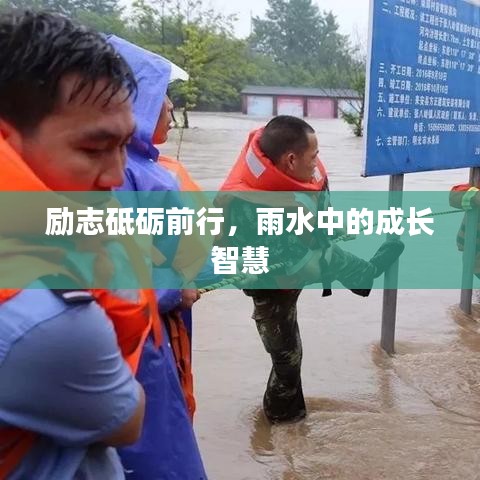 励志砥砺前行，雨水中的成长智慧