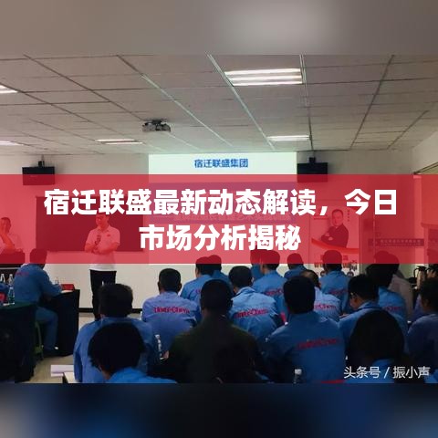 宿迁联盛最新动态解读，今日市场分析揭秘