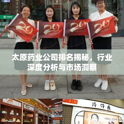 太原药业公司排名揭秘，行业深度分析与市场洞察