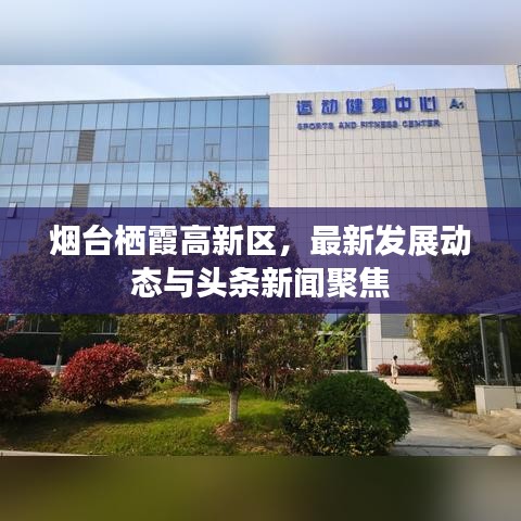 烟台栖霞高新区,最新发展动态与头条新闻聚焦