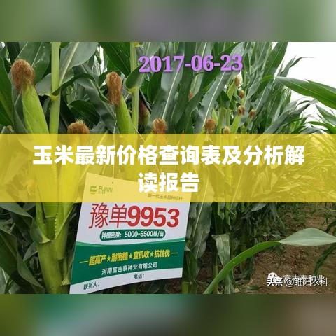 玉米最新价格查询表及分析解读报告
