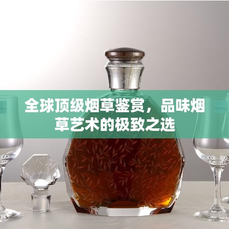 虚张声势 第3页