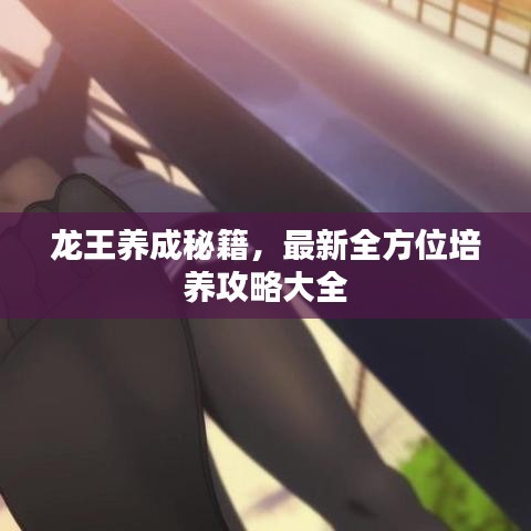 龙王养成秘籍，最新全方位培养攻略大全