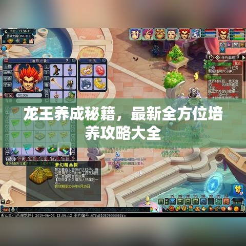 龙王养成秘籍,最新全方位培养攻略大全