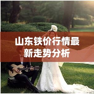 山东铁价行情最新走势分析