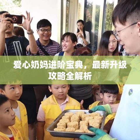 爱心奶妈进阶宝典,最新升级攻略全解析