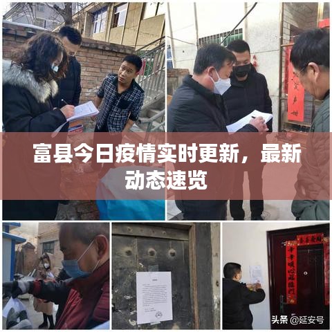 鸟骇鼠窜 第3页