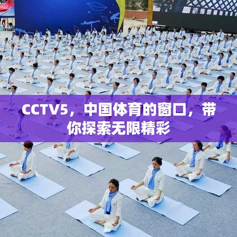 CCTV5，中国体育的窗口，带你探索无限精彩