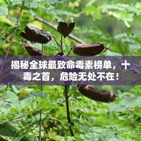 揭秘全球最致命毒素榜单,十毒之首,危险无处不在!