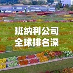 班纳利公司全球排名深度解析