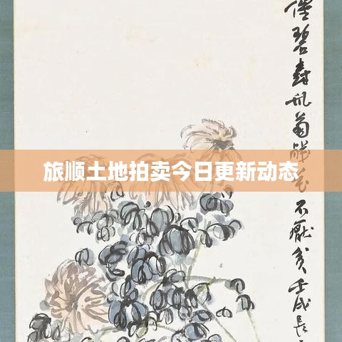 旅顺土地拍卖今日更新动态