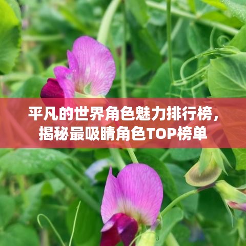 平凡的世界角色魅力排行榜,揭秘最吸睛角色TOP榜单
