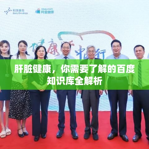 肝脏健康，你需要了解的百度知识库全解析