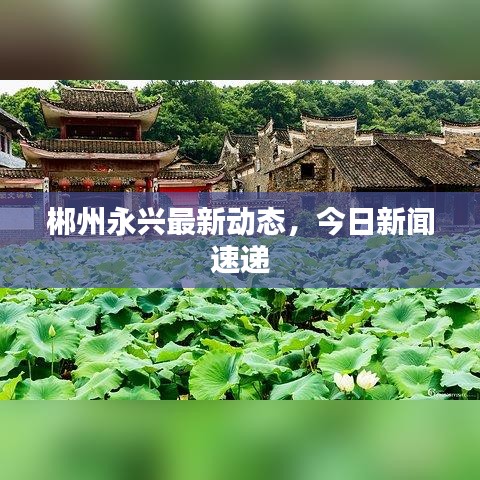 郴州永兴最新动态,今日新闻速递