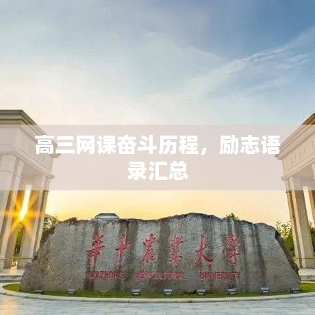 高三网课奋斗历程，励志语录汇总