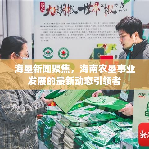 容光焕发 第3页