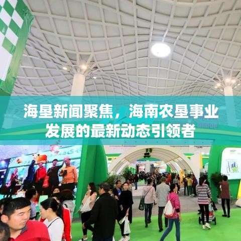 海垦新闻聚焦,海南农垦事业发展的最新动态引领者