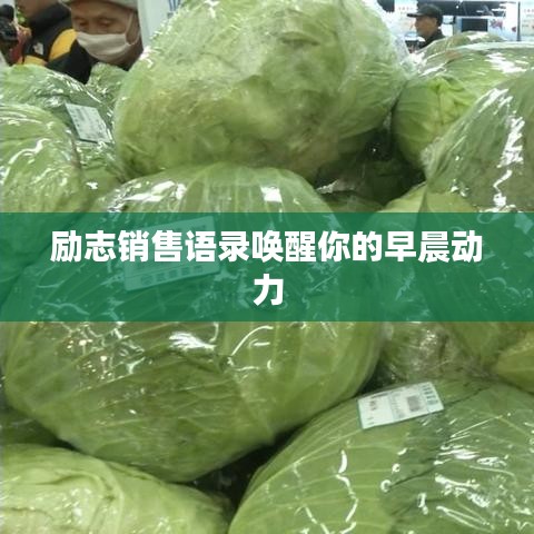 励志销售语录唤醒你的早晨动力