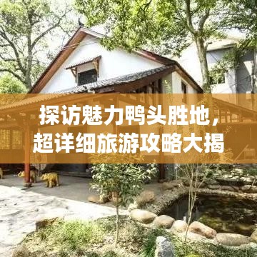 探访魅力鸭头胜地,超详细旅游攻略大揭秘!