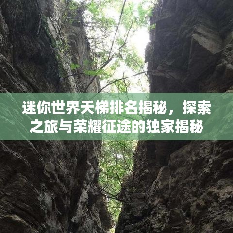 迷你世界天梯排名揭秘,探索之旅与荣耀征途的独家揭秘