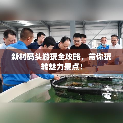 新村码头游玩全攻略,带你玩转魅力景点!