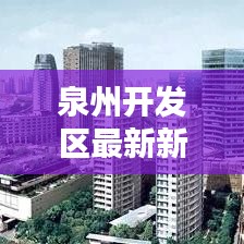 泉州开发区最新新闻头条文章速递