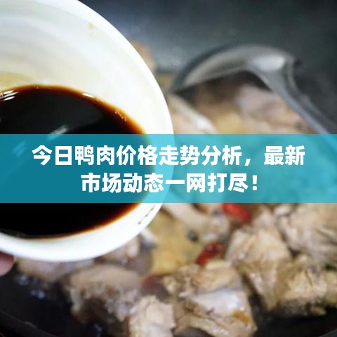 今日鸭肉价格走势分析,最新市场动态一网打尽!