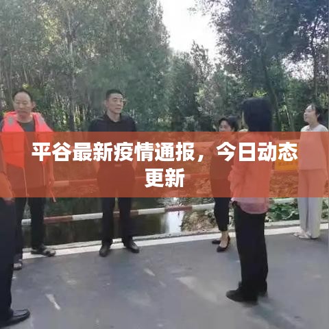 平谷最新疫情通报,今日动态更新