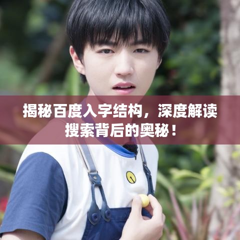 揭秘百度入字结构,深度解读搜索背后的奥秘!