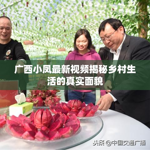 广西小凤最新视频揭秘乡村生活的真实面貌