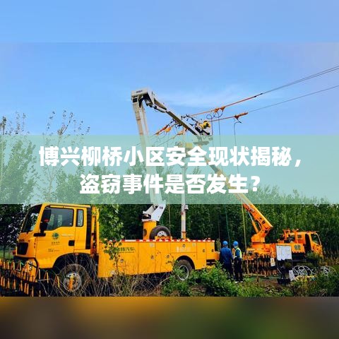 博兴柳桥小区安全现状揭秘,盗窃事件是否发生?