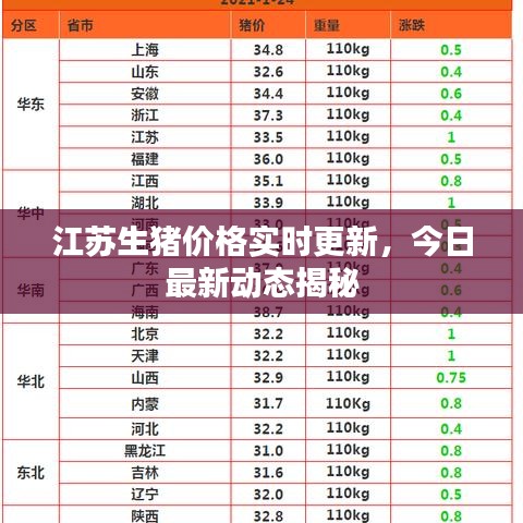 江苏生猪价格实时更新,今日最新动态揭秘