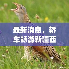 最新消息，轿车畅游新疆西藏，安心出行指南