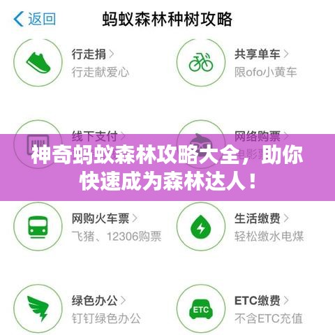 神奇蚂蚁森林攻略大全，助你快速成为森林达人！