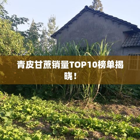 青皮甘蔗销量TOP10榜单揭晓!