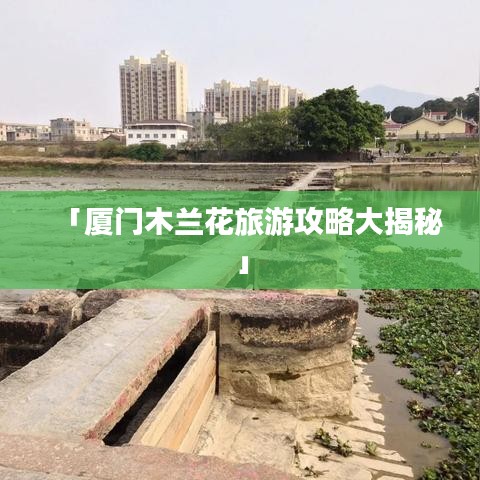 「厦门木兰花旅游攻略大揭秘」