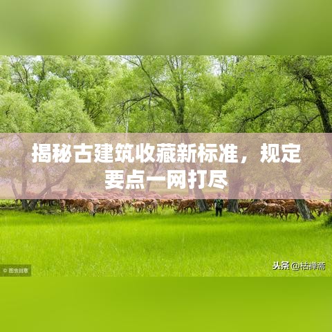 揭秘古建筑收藏新标准，规定要点一网打尽