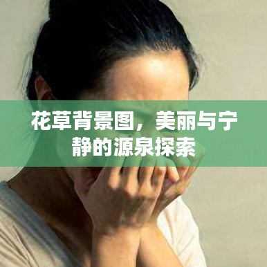 花草背景图,美丽与宁静的源泉探索