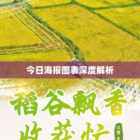今日海报图表深度解析