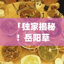 「独家揭秘！岳阳草原的绝美风光与旅游攻略」